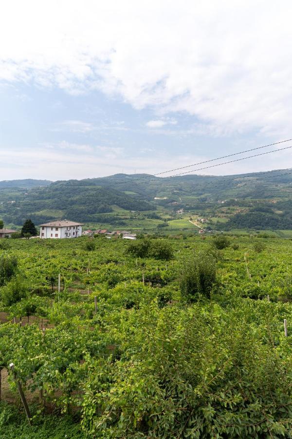 Amagi Home Montecchia di Crosara Екстериор снимка